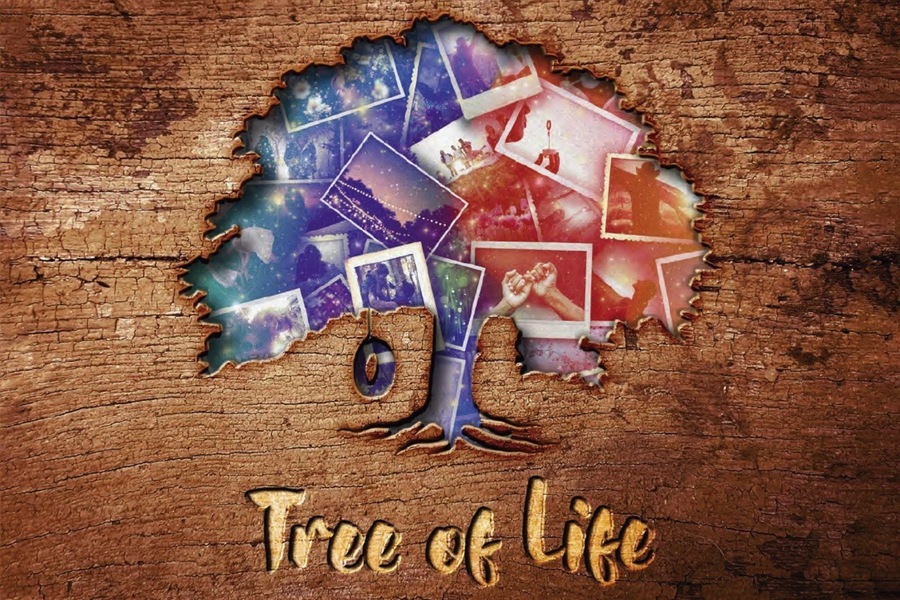 Celebrity Cruises, Tree of Life, Copyrights - CEL.jpeg